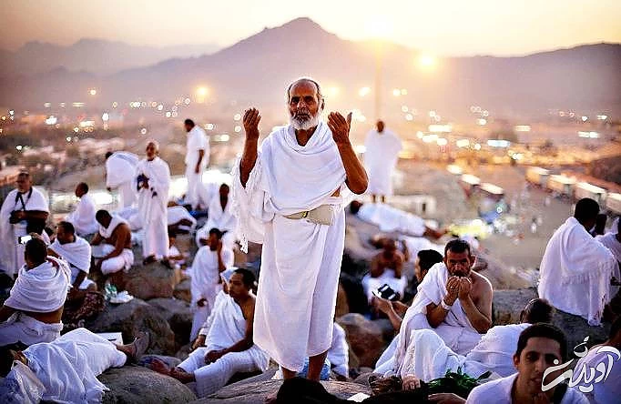 عرفه